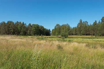 Obraz premium The territory of St. Vladimir's Skete. The wonderful island Valaam is located on Lake Lodozhskoye, Karelia. Balaam - a step to heaven