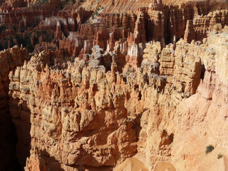 Bryce canyon national park - Utah USA America