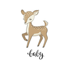 Baby deer vector illustration