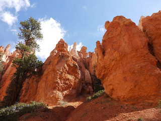 Bryce canyon national park - Utah USA America