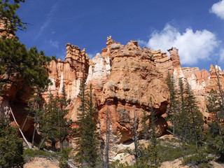 Bryce canyon national park - Utah USA America