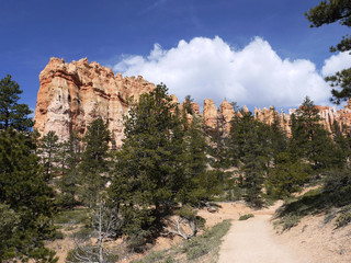 Bryce canyon national park - Utah USA America