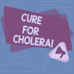 Text sign showing Cure For Cholera. Conceptual photo restoration of lost fluids and salts through rehydration Megaphone Inside Triangle and Blank Color Rectangle for Announcement