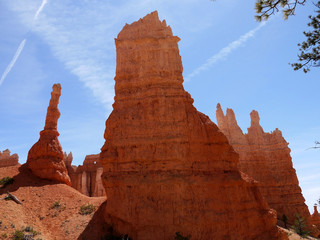 Bryce canyon national park - Utah USA America