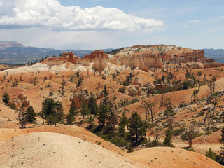 Bryce canyon national park - Utah USA America