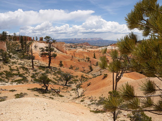 Bryce canyon national park - Utah USA America
