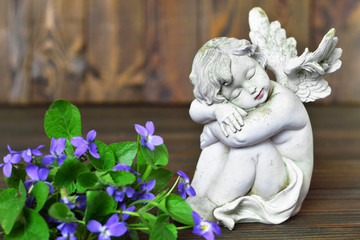 Angel and violets on wooden background