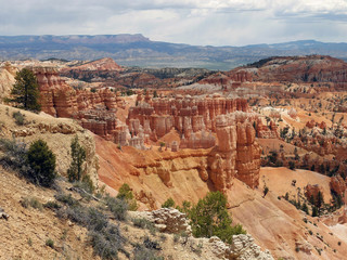 Fototapeta na wymiar Bryce canyon national park - Utah USA America