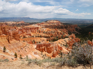 Bryce canyon national park - Utah USA America