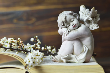  Angel sleeping on vintage book