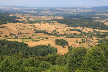 Naklejka premium Burgund, Frankreich: Blick auf die Hügel-, Wald- und Wiesenlandschaft des Charollais vom Butte de Suin