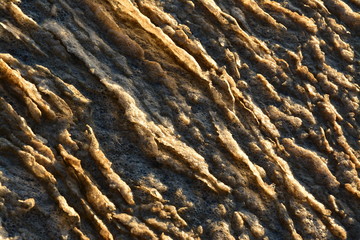 piękna spieniona woda