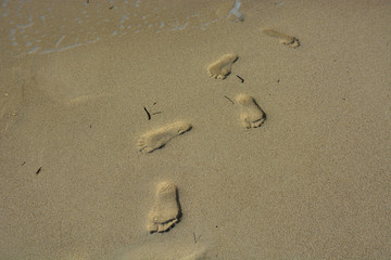 Fototapeta na wymiar footprints in the sand, sea beach