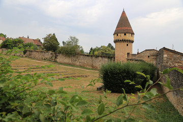 Fototapeta na wymiar Burgund, Frankreich: Der Fabry Turm an der Mauer des Klosters Cluny 