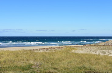 Fototapeta na wymiar Beach with grass, sand dunes and blue sea with waves and foam. Clear sky, sunny day. Galicia, Spain.