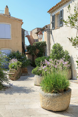 Fototapeta na wymiar Provence Cote d´azur: Schön bepflanzte Gasse im Dorf Ramatuelle