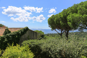 Fototapeta na wymiar Provence Cote d´azur: Typisches mit Ziegeln gedecktes Landhaus mit Meerblick an einem Hang mit Schirm Pinien 