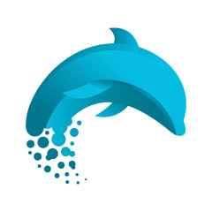 dolphin vector design inspiration
