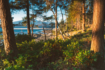 The scenic landscapes of Bowen Island near Vancouver British Columbia Canada fine art photography