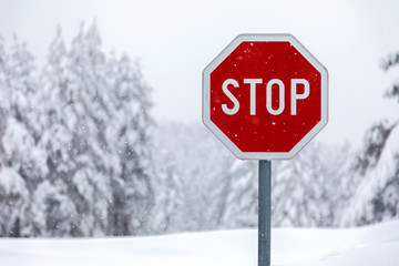 Obraz premium Road stop sign on a snow covered road