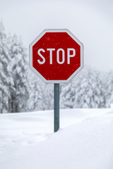 Obraz premium Road stop sign on a snow covered road