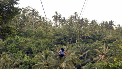 Obraz premium Balinese traditional swing
