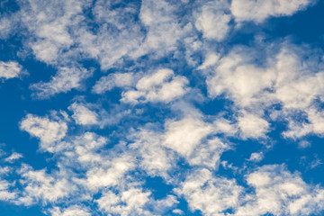 Looking up at fluffy white clouds and a blue sky