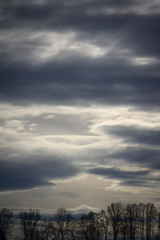 dramatic sky with clouds and tree silhouette