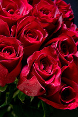 bouquet of red roses