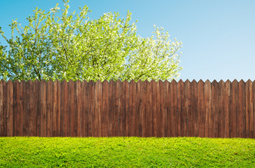 a wooden garden fence at backyard and bloom tree in spring - Powered by Adobe