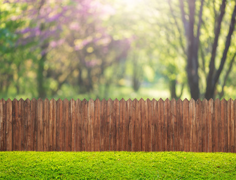 a wooden garden fence at backyard and bloom tree in spring