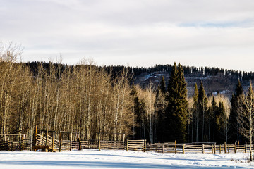 Waiting for the summer visitors, Station Flats Provincial Recreation Area, Alberta, Canada