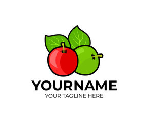 Fruit, green and red apple with leaves, logo design. Organic food, vegetarian, healthy eat, agriculture and farming, vector design and illustration