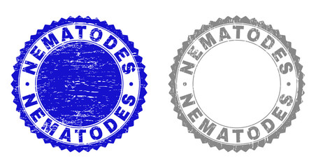 Grunge NEMATODES stamp seals isolated on a white background. Rosette seals with distress texture in blue and gray colors. Vector rubber stamp imitation of NEMATODES label inside round rosette.