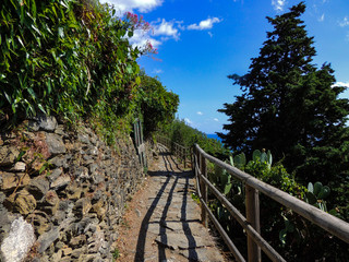 Cinque Terre Trail