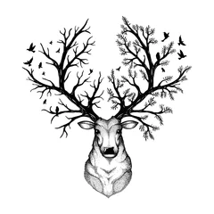 Foto op Plexiglas vector illustration of a head deer with forest background © coz1421