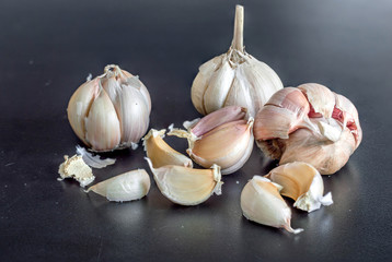 garlic on a gray background