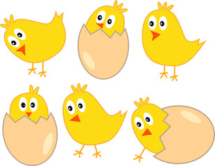 Cute yellow easter chickens with eggs - vector illustration isolated on white background