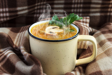 Hot soup from forest mushrooms.