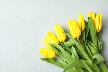 Naklejka premium Beautiful fresh yellow tulips on gray background, top view. Space for text