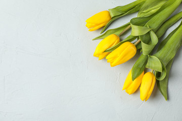 Beautiful fresh yellow tulips on gray background, top view. Space for text