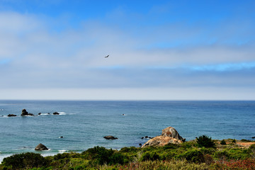 Fototapeta na wymiar Coast of the Pacific Ocean on a cloudy day. California, USA
