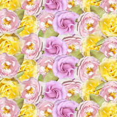Fototapeta na wymiar Beautiful floral background of roses. Isolated