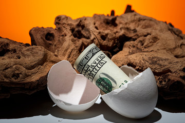 Conceptual photo. A hundred dollar bill rolled out of an egg. Near a piece of wood. - 248519012