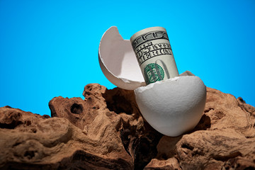 Conceptual photo. A hundred dollar bill rolled out of an egg. Near a piece of wood. - 248519013