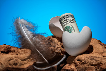 Conceptual photo. A hundred dollar bill rolled out of an egg. Near a piece of wood and a bird feather. - 248519040
