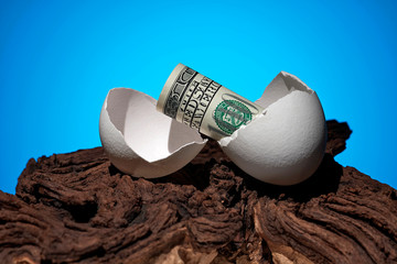 Conceptual photo. A hundred dollar bill rolled out of an egg. Near a piece of wood. - 248519042