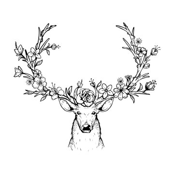 illustration of a deer with forest  background