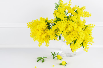 bouquet of yellow flowers mimosa on white background