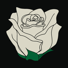 T-shirt graphics, typography. The white rose. Vector.